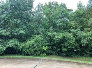 25011 Rhett Butler Ct, Tomball, TX 77375