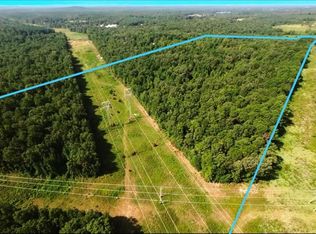 40 County Road 4244, Pittsburg, TX 75686