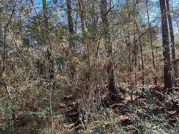 2nd image of LOT 197 Woodland Dr
