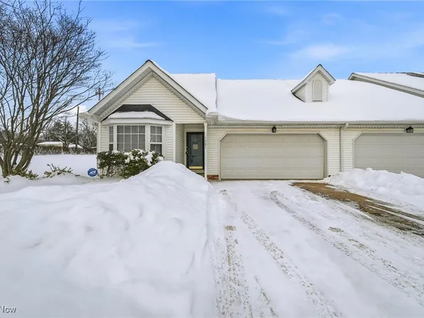 1001 The Capes Blvd, Painesville, OH 44077