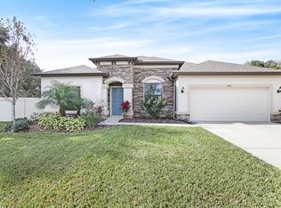 2911 Shetland Ridge Dr, Valrico, FL 33596