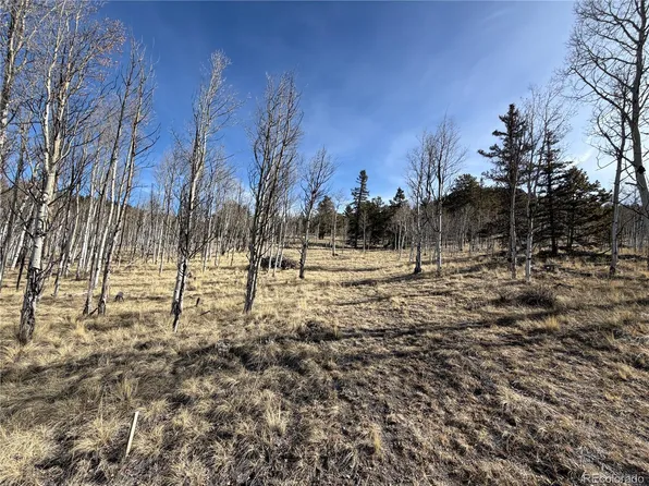 32 Sugar Loaf Lane LOT 160, Jefferson, CO 80456