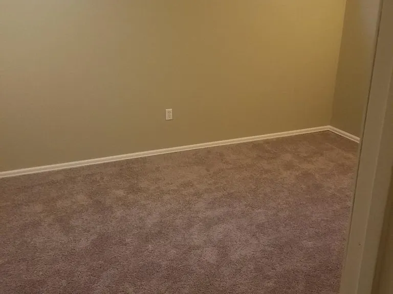 1 of 3 downstairs bedrooms