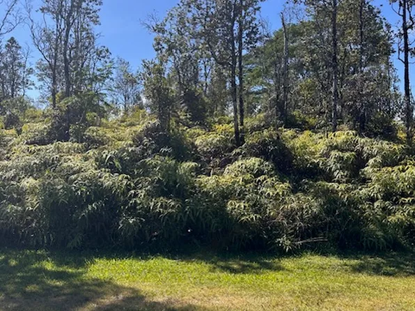 Lai St Lot 702, Pahoa, HI 96778