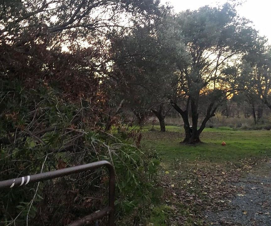 2nd image of 11440 Loma Rica Rd
