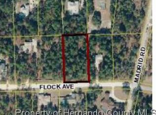 Flock Ave, Weeki wachee, FL 34613