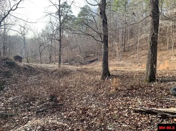 2410 Mc #8001, Yellville, AR 72687