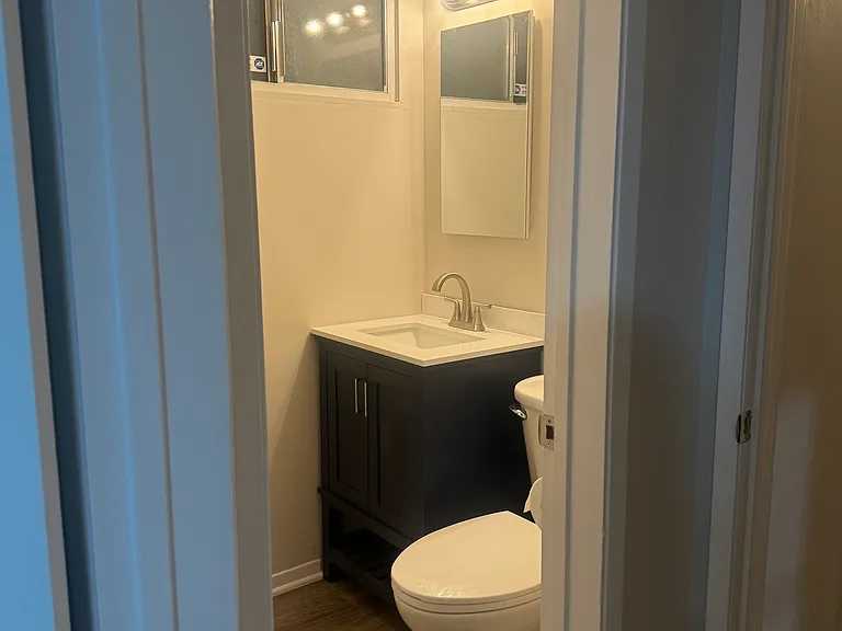 Bathroom in the master Bedroom.
