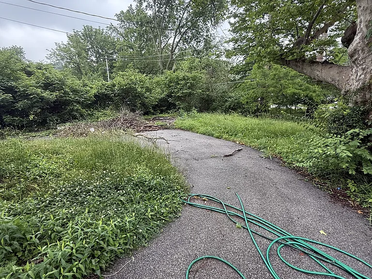 7426 Calvin Ave — Photo 8