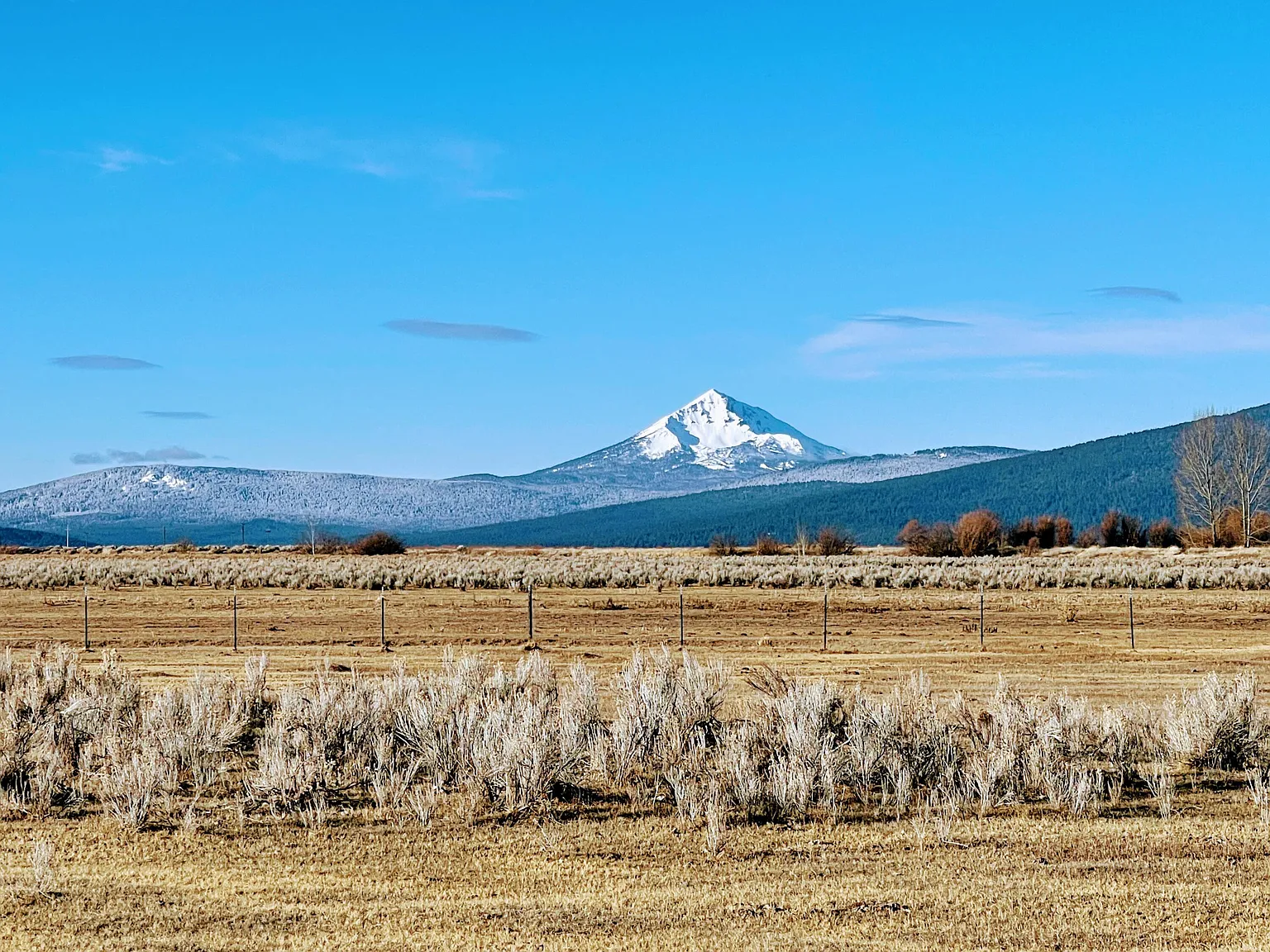31130 Modoc Point Rd photo 1