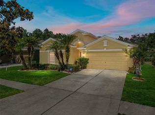 3011 Gem Luster Ct, Valrico, FL 33594