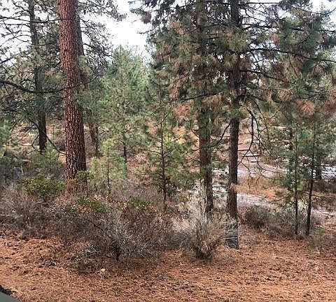 4th image of 19717 Mount Bachelor Dr Unit 104