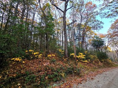 0 Cooleyville Rd, Shutesbury, MA, 01072