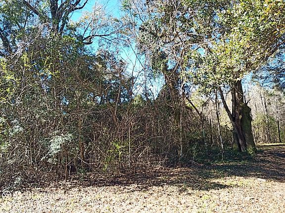 2nd image of 190 Gumpond Beall Rd
