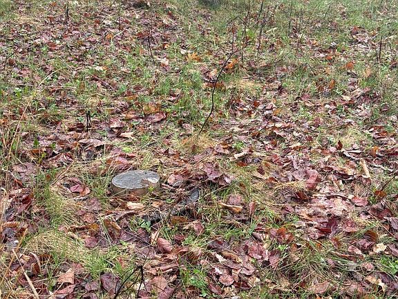 5th image of 244 Long Ridge Road