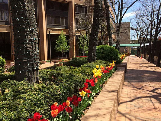 Rented by Corcoran | media 35