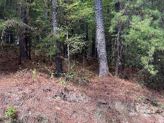 2nd image of County Road 8 #1