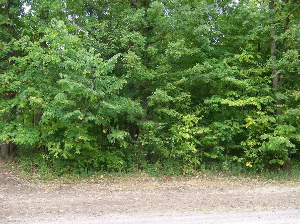 Vacant Cochrane, Allenton, MI 48002