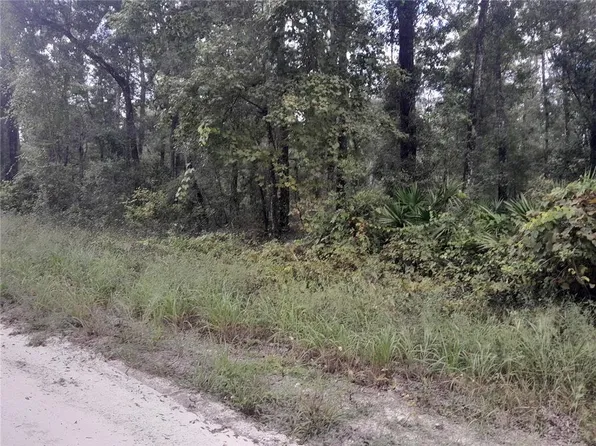 NE 292nd Ave Lot 8, Old Town, FL 32680