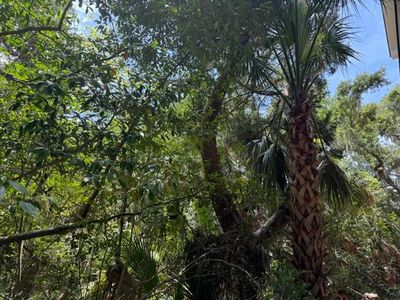 A 16 Oristo Rdg, Edisto Island, SC, 29438