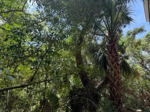 A 16 Oristo Rdg, Edisto Island, SC 29438