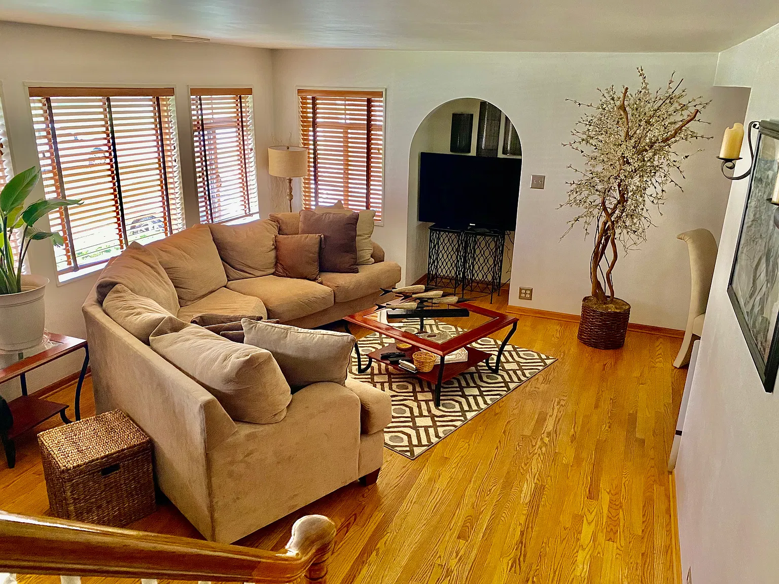 3 bed, 938 sqft, $2,450 — Photo 2