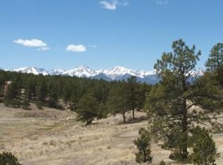 206 Black Fawn Ln, Westcliffe, CO 81252