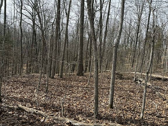 2nd image of 4 Malone Ridge Rd