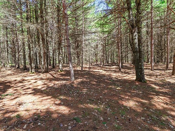 4th image of 7519 Island View Rd