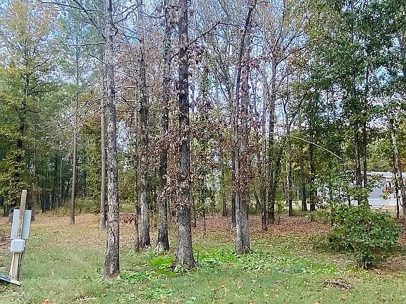 2nd image of 1311 Hollow Oaks Ln