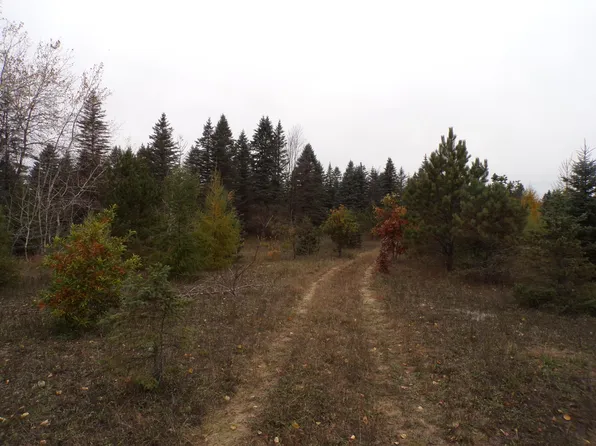 14355 Mallard Rd, Thompsonville, MI 49683