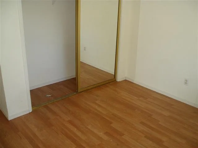 811 Cathedral Ct — Photo 14