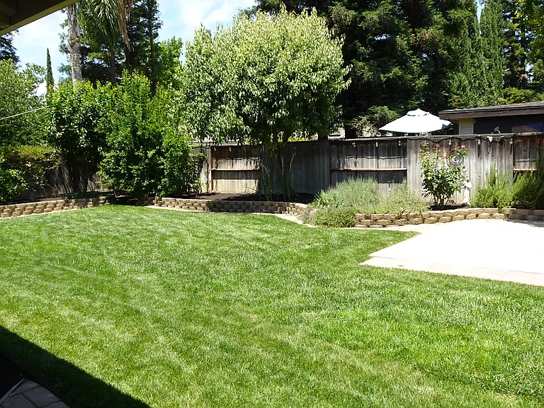 878 E Catalina Cir — Photo 24