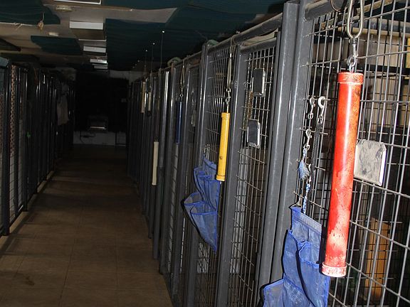 5th image of 62 Cerro Verde Rd