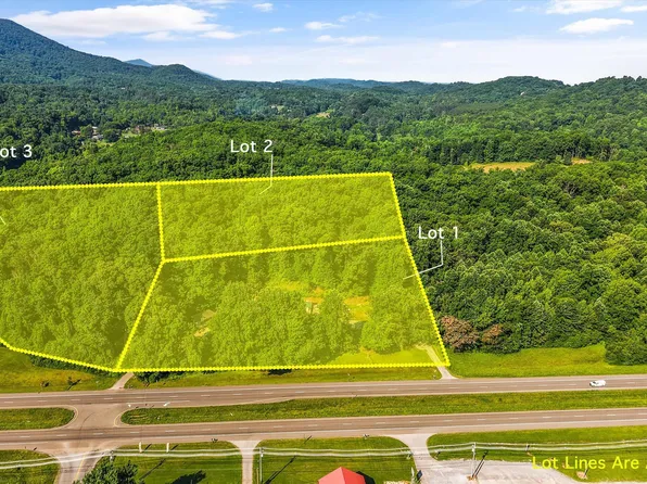 4536 E Lamar Alexander Pkwy, Walland, TN 37886