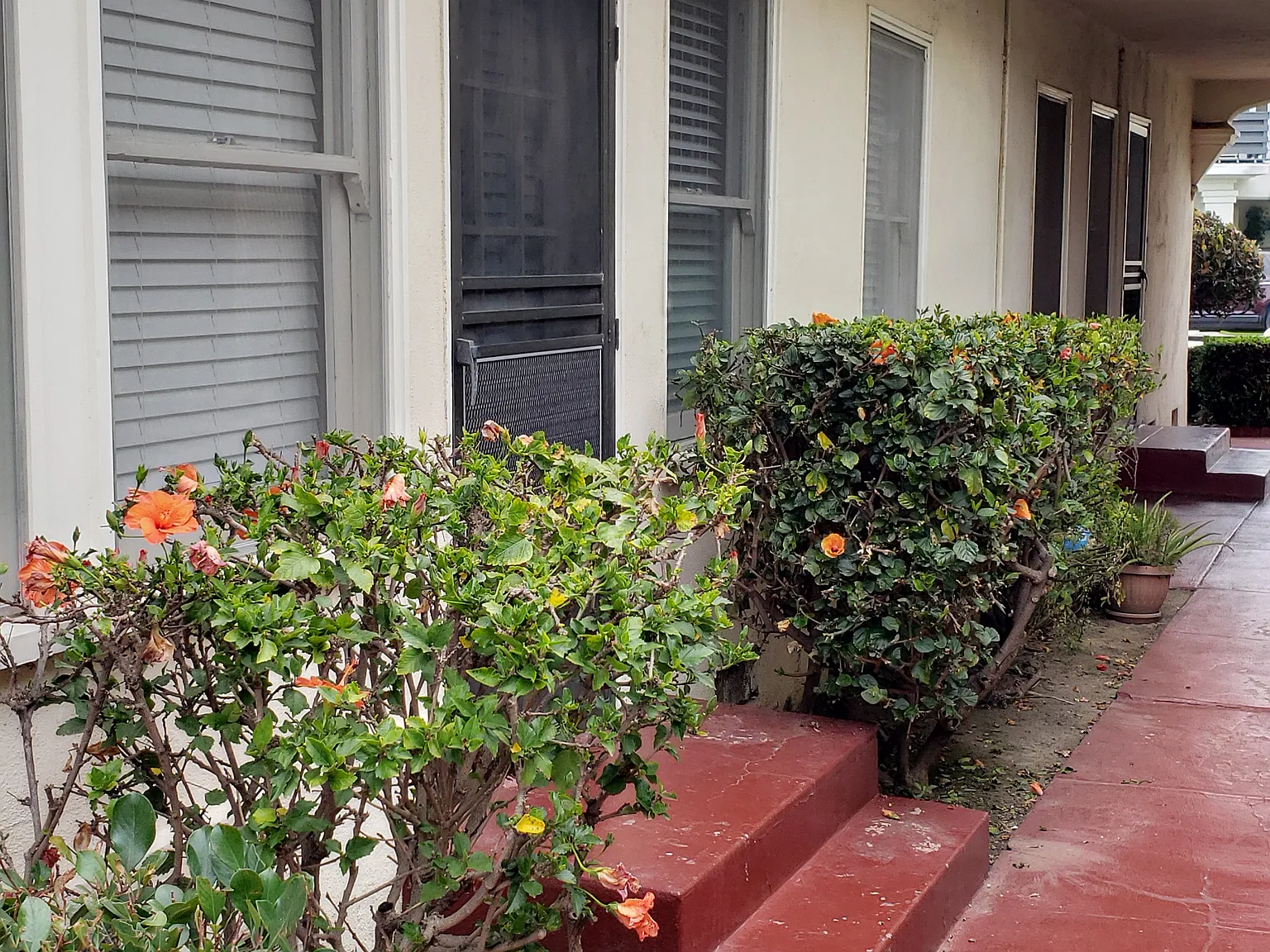 1 bed, 664 sqft, $1,795 — Photo 1