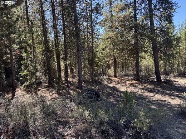 Crescent Moon Dr #29, Crescent, OR 97733