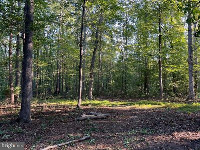 14285 Woods View Ln, Reva, VA, 22735