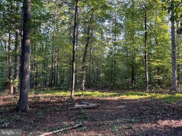 14285 Woods View Ln, Reva, VA 22735