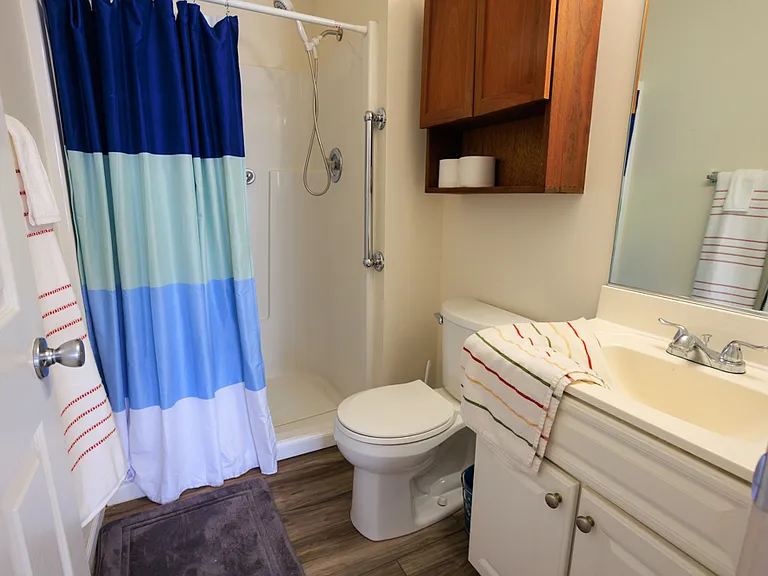 510 Wild Mint Ln — Photo 7