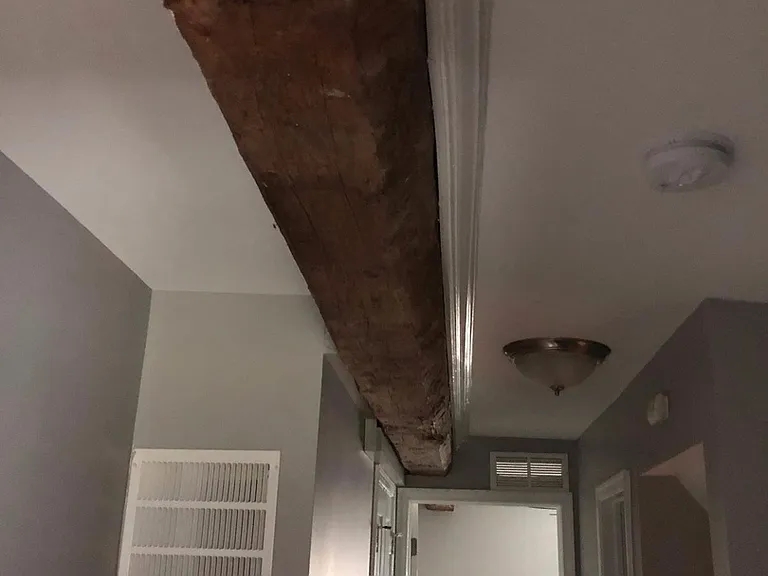 931 Broad St — Photo 15