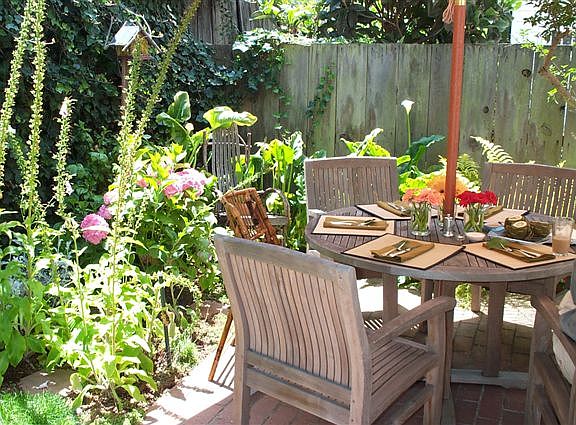 Secluded Backyard