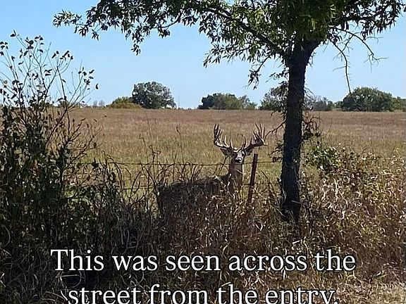 5th image of 20572 N County Road 3300