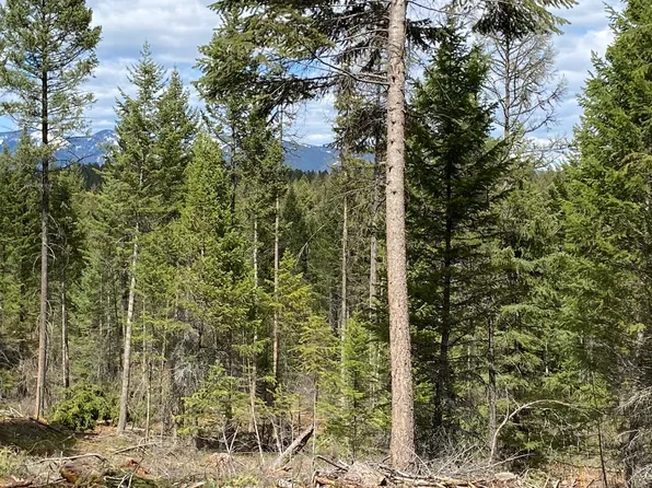 Nhn Soaring Eagle Dr, Whitefish, MT 59937