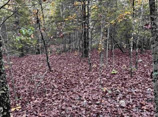 1352 Pioneer Lake Rd, Horseshoe Bend, AR 72512