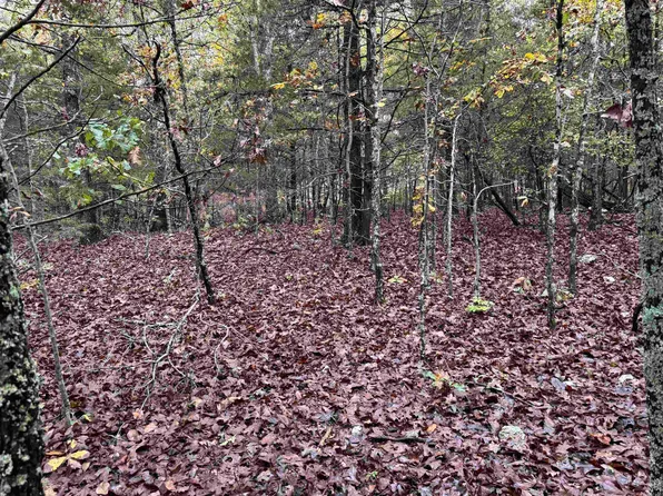 1352 Pioneer Lake Rd, Horseshoe Bend, AR 72512