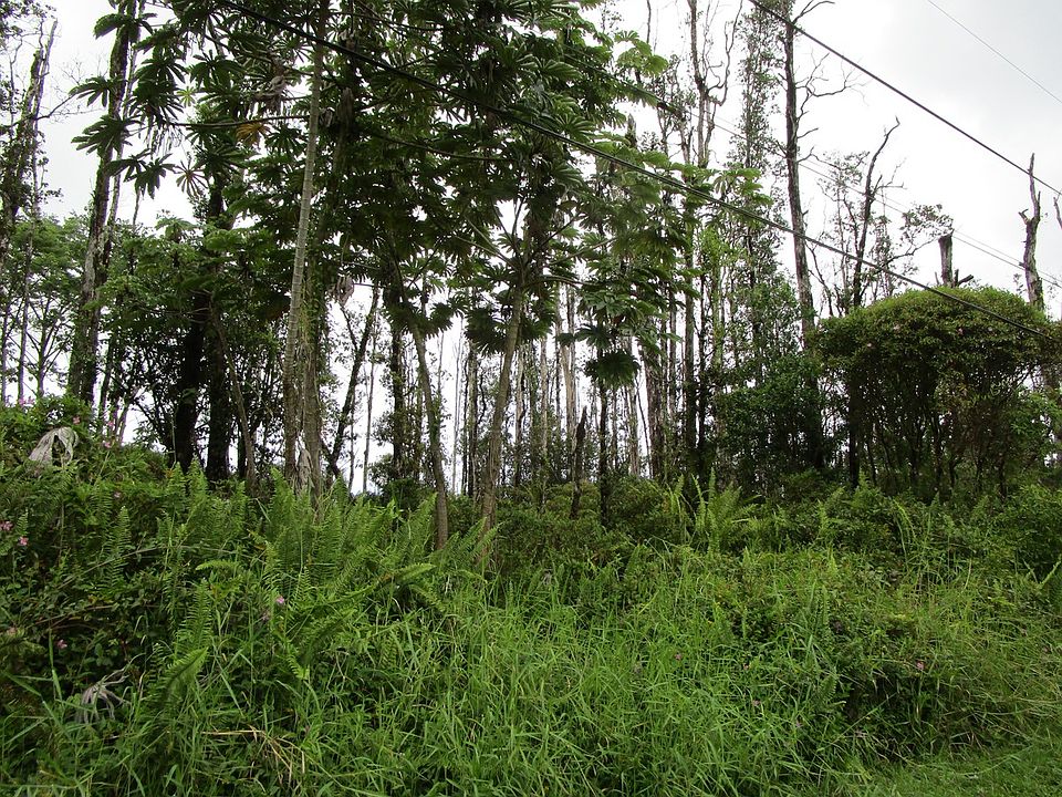 2nd image of Kuhio Dr Lot 49