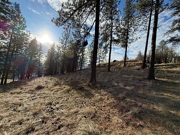 2nd image of N Adams St