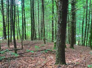 LT 14 Echota Falls Dr, Ellijay, GA 30540