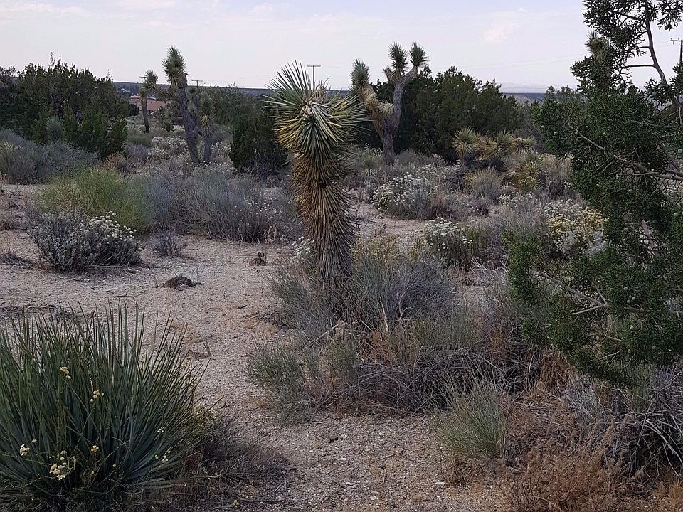 2nd image of 2651 Smoke Tree Rd